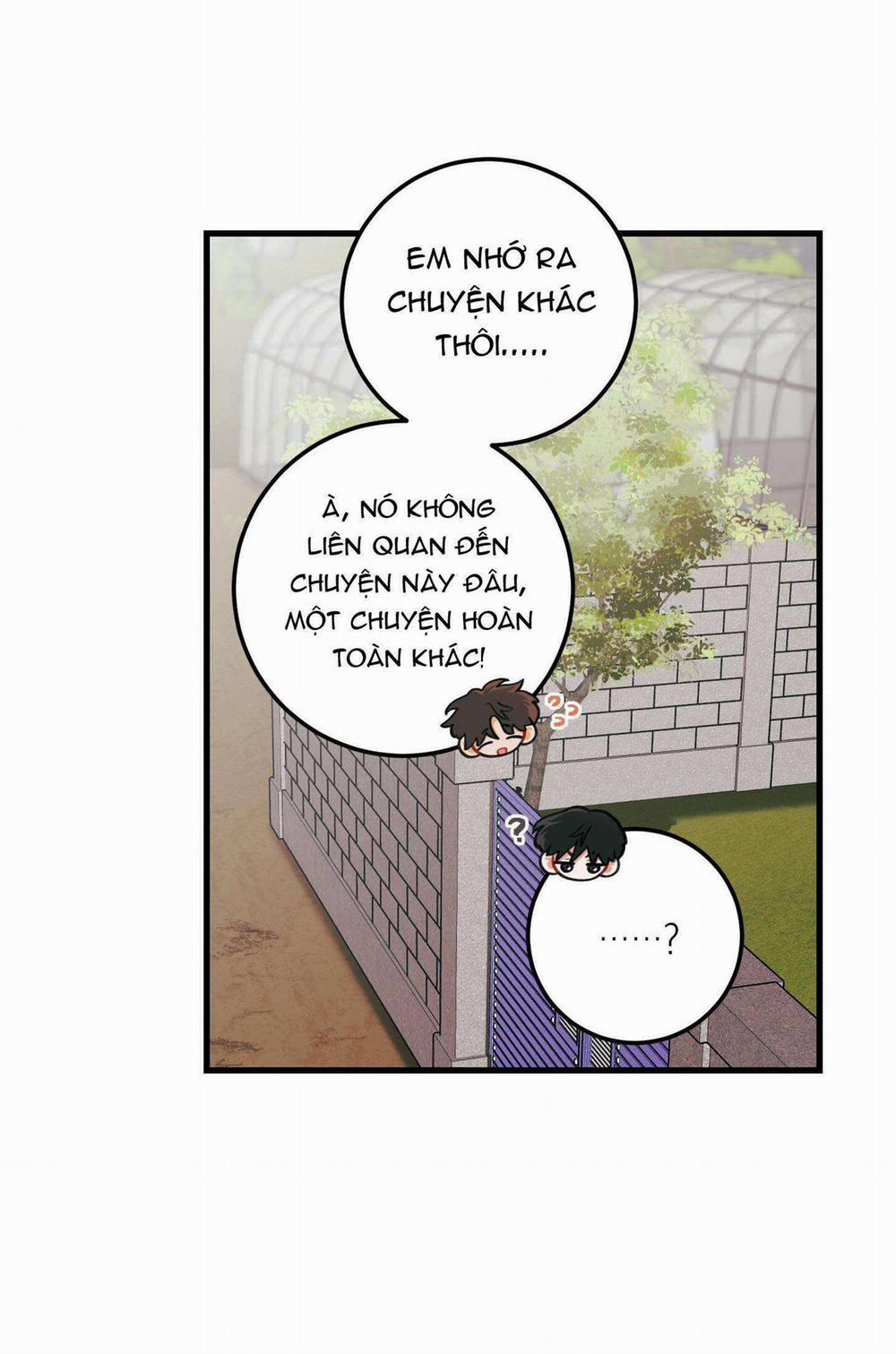 CHUYỆN TÌNH HOA LÊ NỞ 50 trang 12