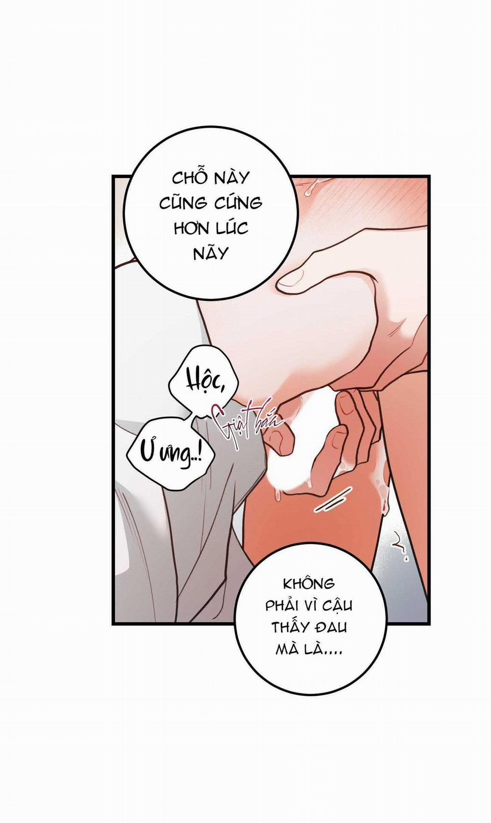 CHUYỆN TÌNH HOA LÊ NỞ 53 trang 3