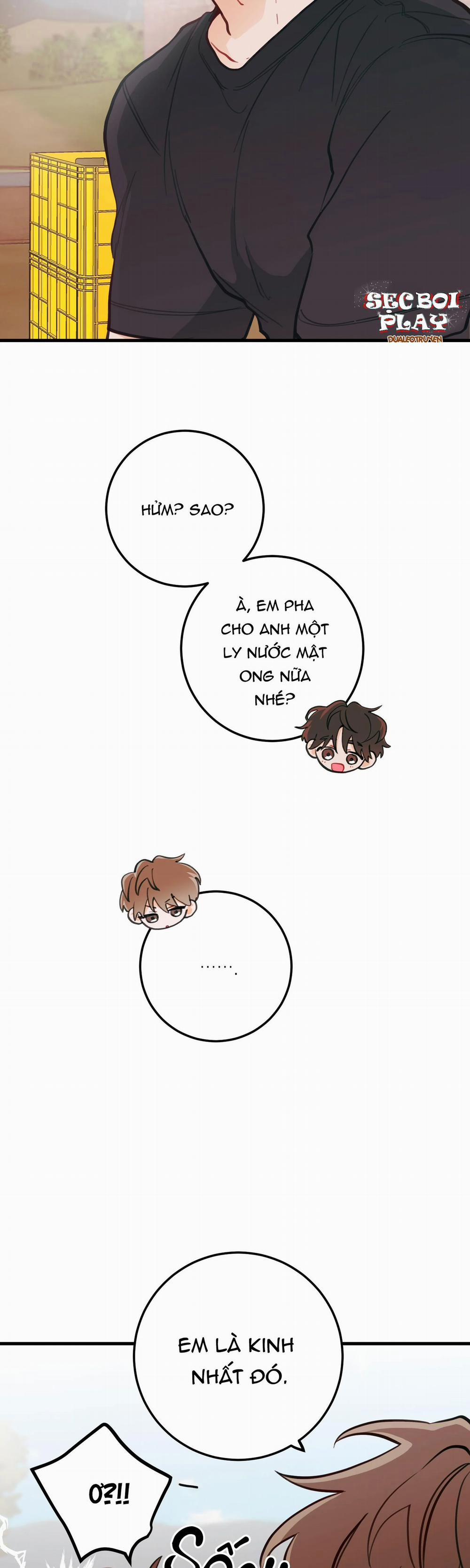 CHUYỆN TÌNH HOA LÊ NỞ 9 trang 11