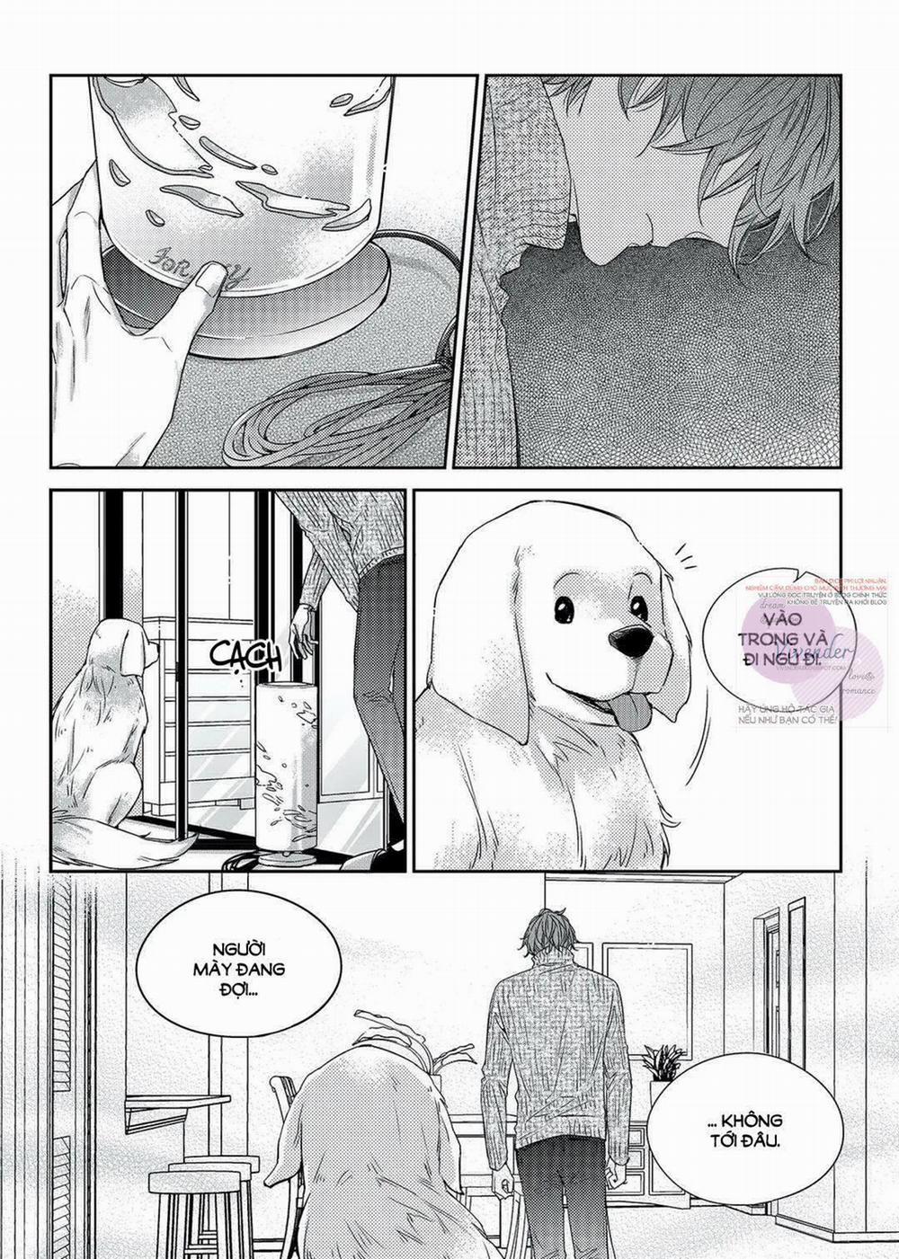 Chuyện Tình Không Dự Tính 29 trang 5