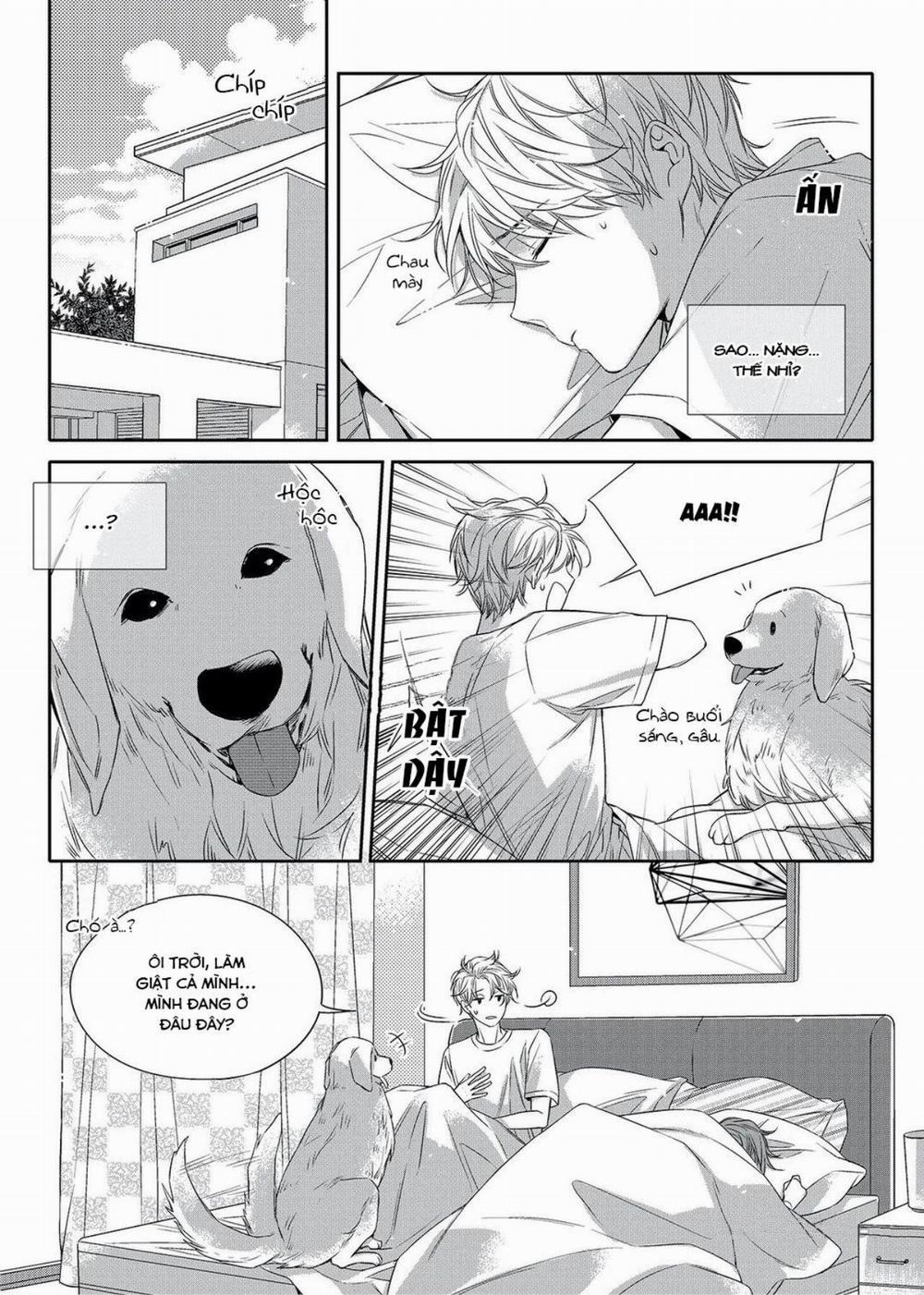 Chuyện Tình Không Lường Trước (END) 6 trang 4