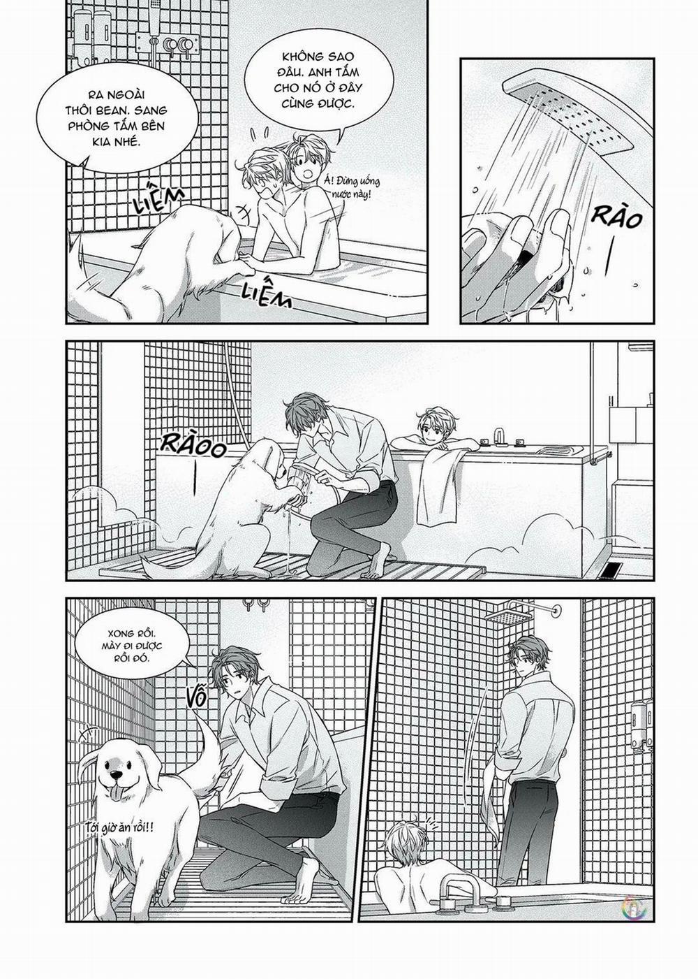 Chuyện Tình Không Lường Trước (END) 61 PN3 trang 17