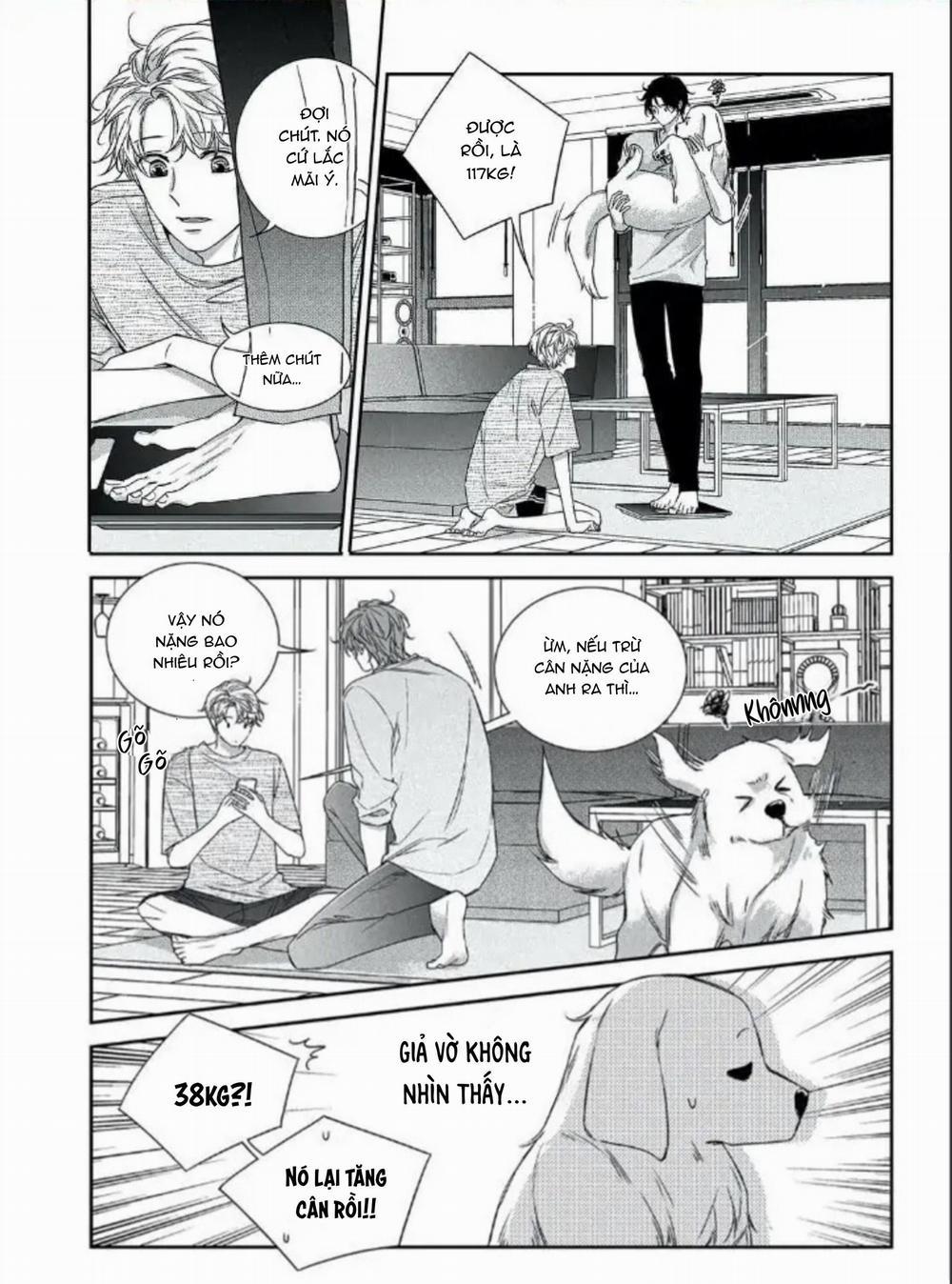 Chuyện Tình Không Lường Trước (END) 63 PN5 trang 1