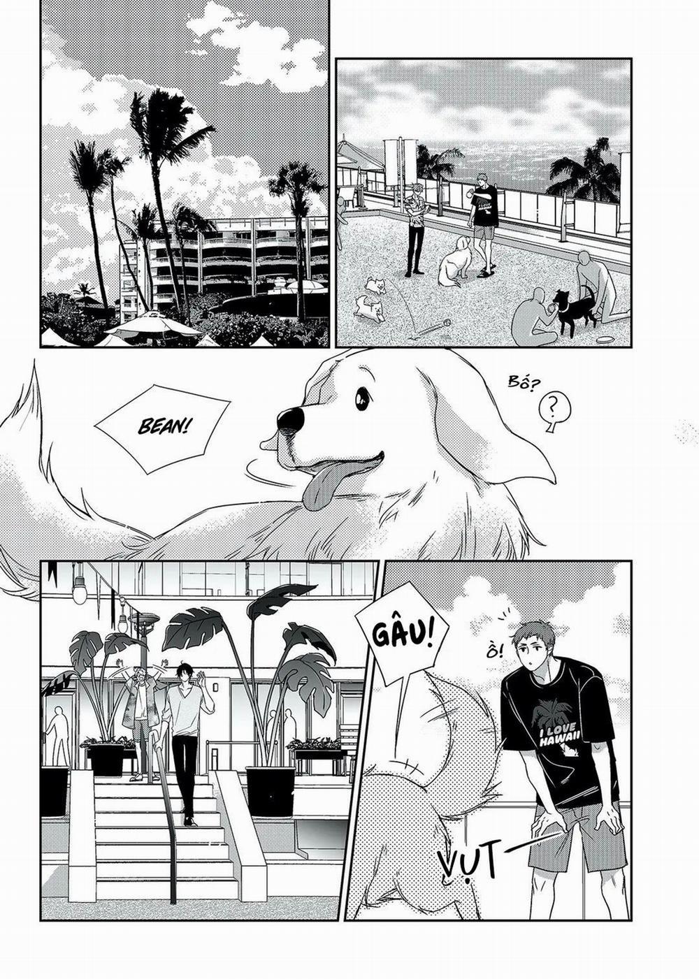 Chuyện Tình Không Lường Trước (END) 66 PN8 trang 12