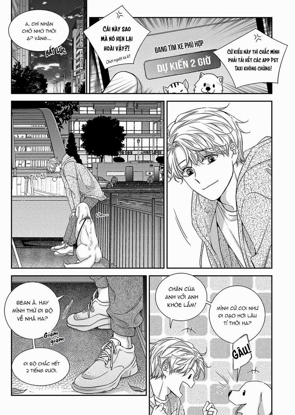 Chuyện Tình Không Lường Trước (END) 73 PN15 trang 17