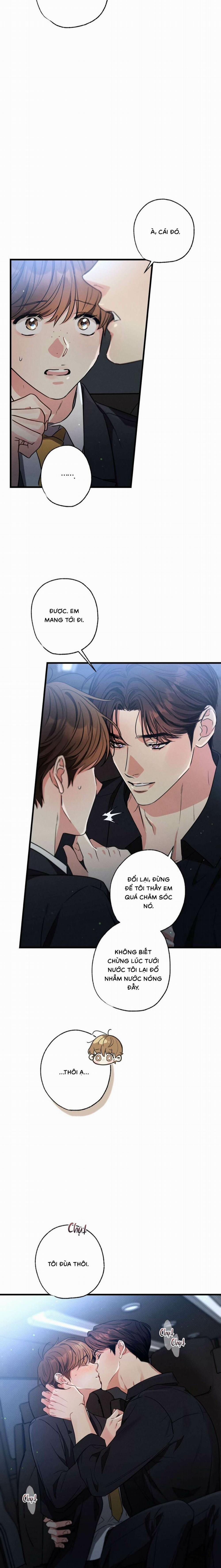 Chuyện Tình Không Lường Trước 100 trang 5