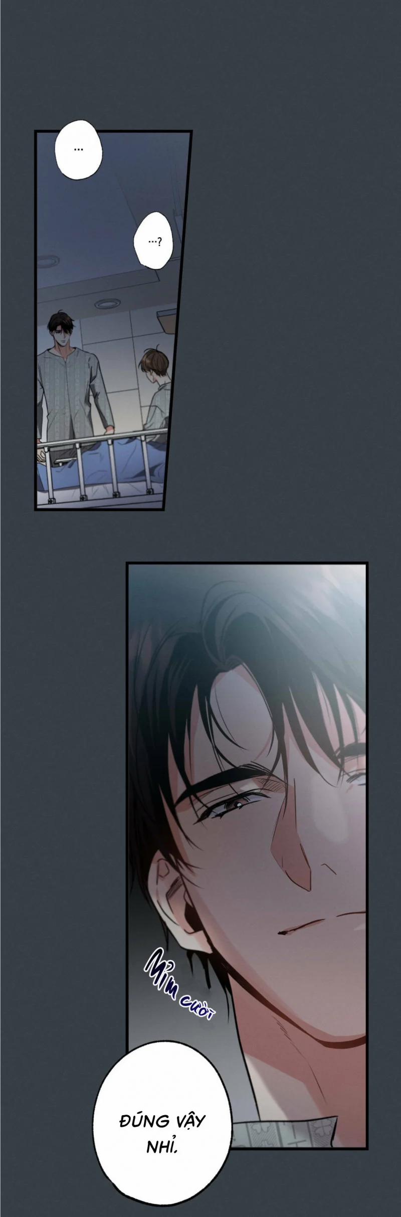 Chuyện Tình Không Lường Trước 17.5 trang 8