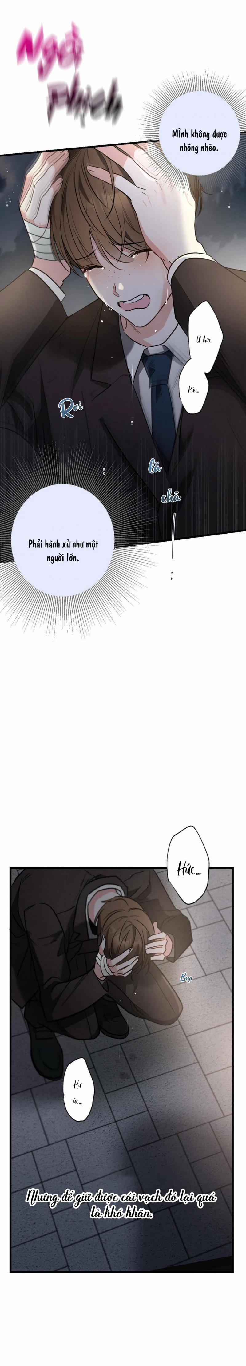 Chuyện Tình Không Lường Trước 23.5 trang 10