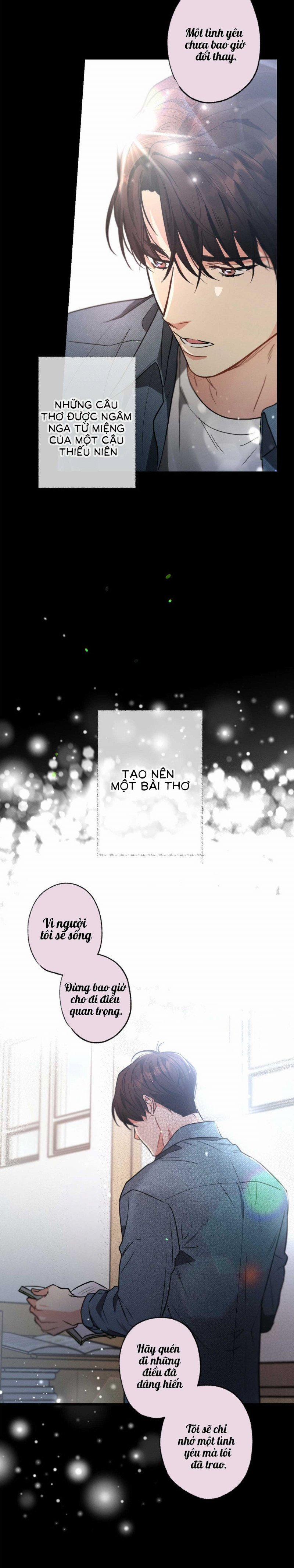 Chuyện Tình Không Lường Trước 29 trang 11