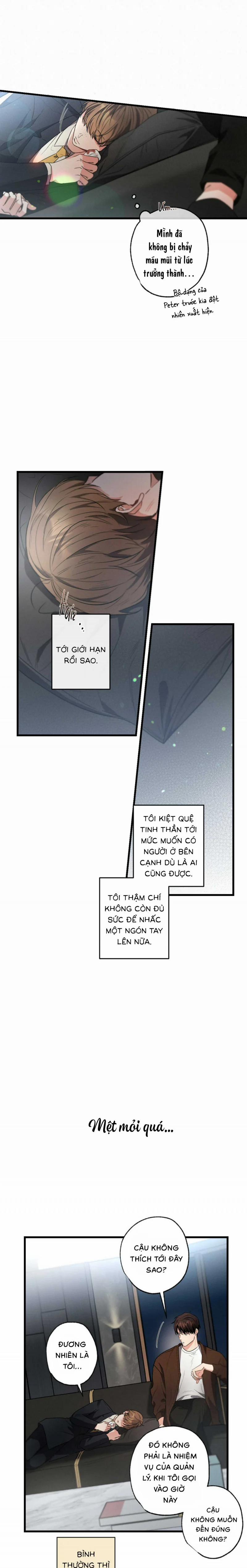 Chuyện Tình Không Lường Trước 32.5 trang 7