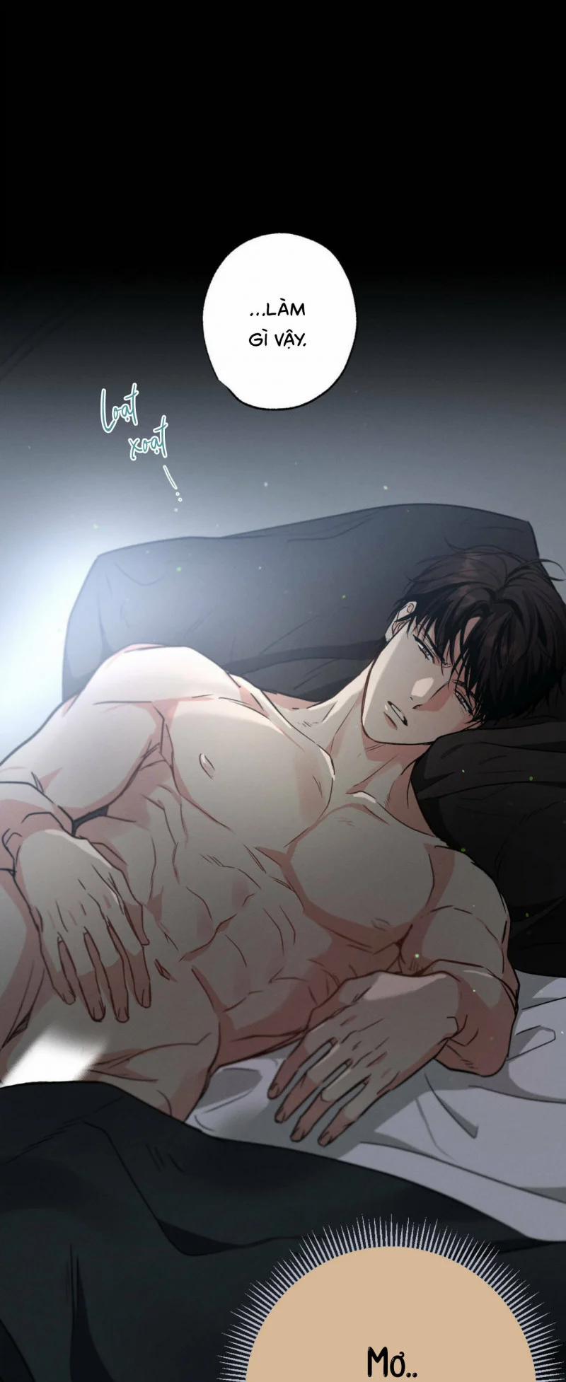 Chuyện Tình Không Lường Trước 33.5 trang 0