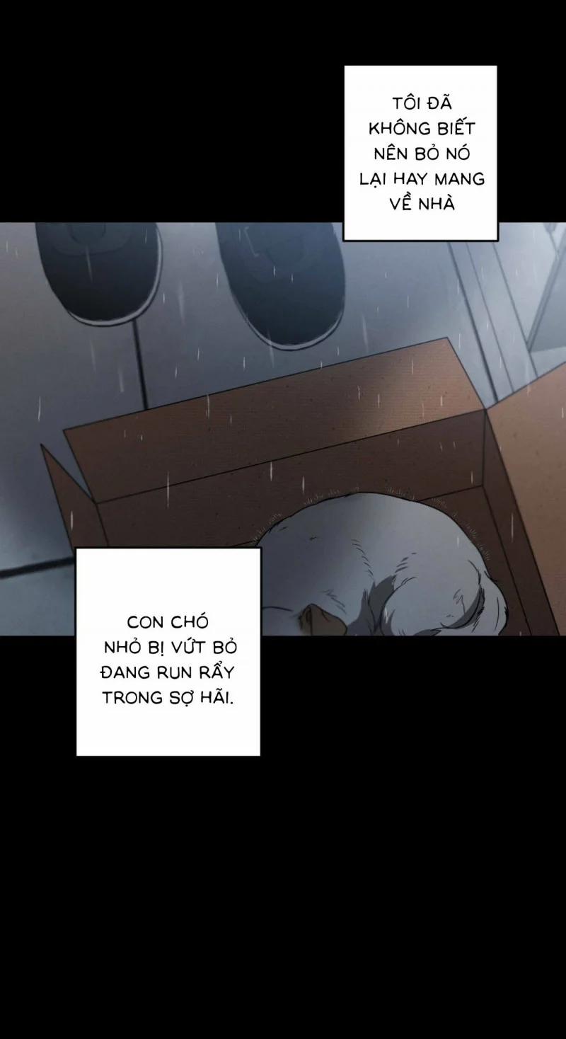 Chuyện Tình Không Lường Trước 33 trang 1