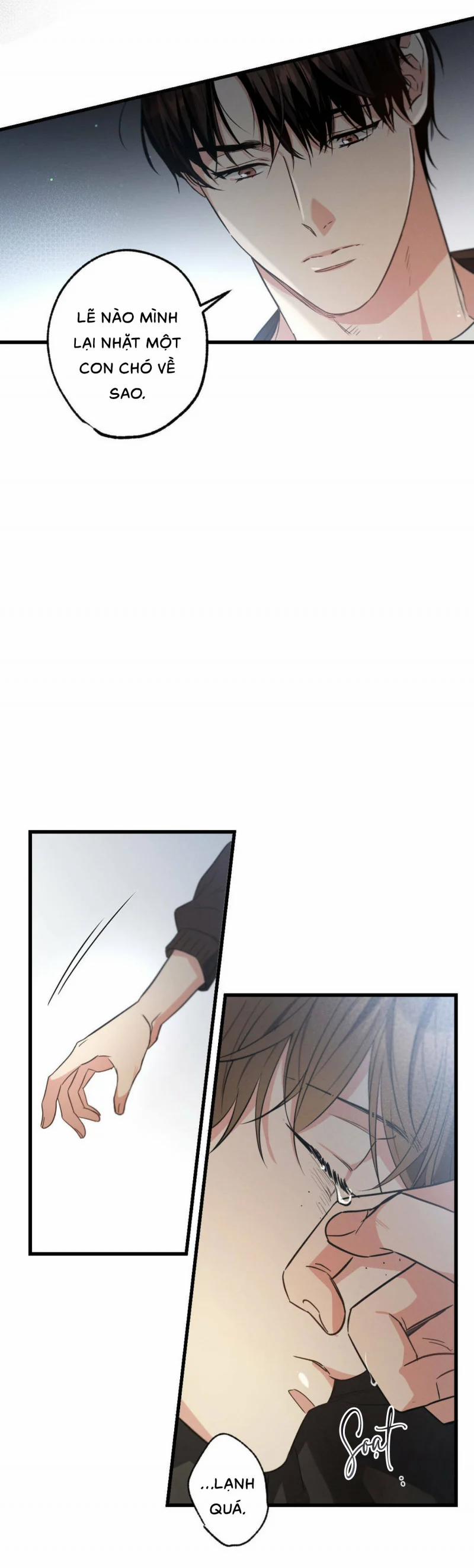 Chuyện Tình Không Lường Trước 33 trang 15