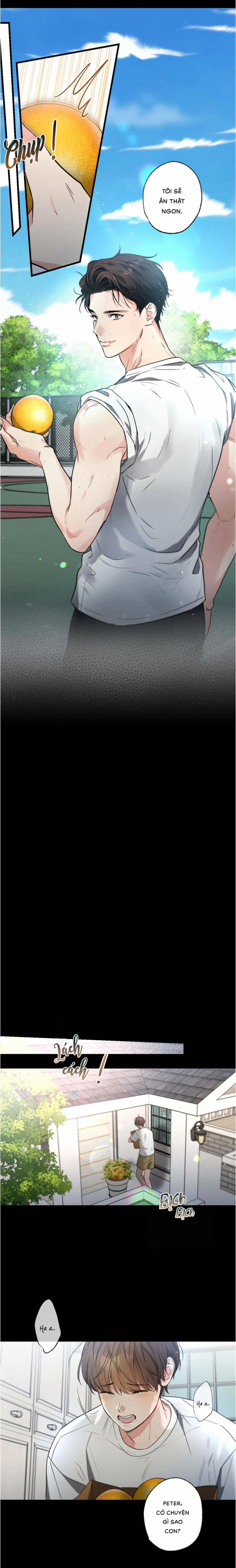 Chuyện Tình Không Lường Trước 37.5 trang 0