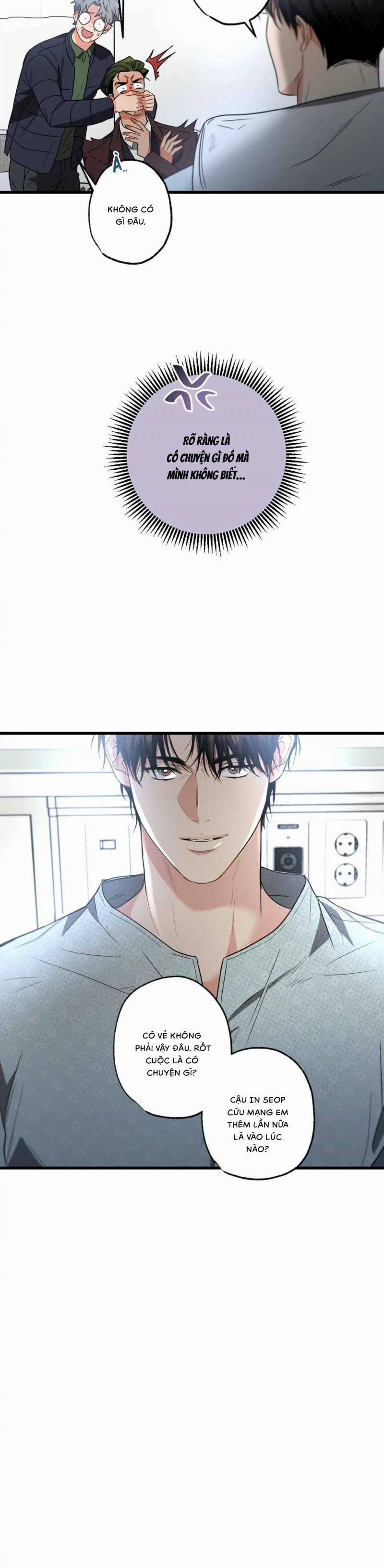 Chuyện Tình Không Lường Trước 39.5 trang 10