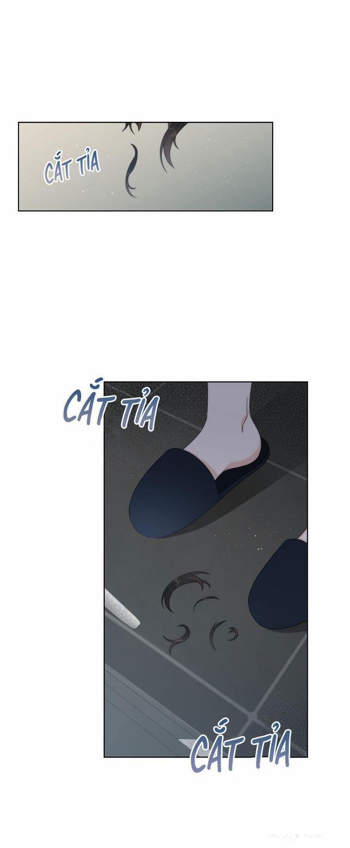 Chuyện Tình Lãng Mạn Tại Manhattan 27 trang 11