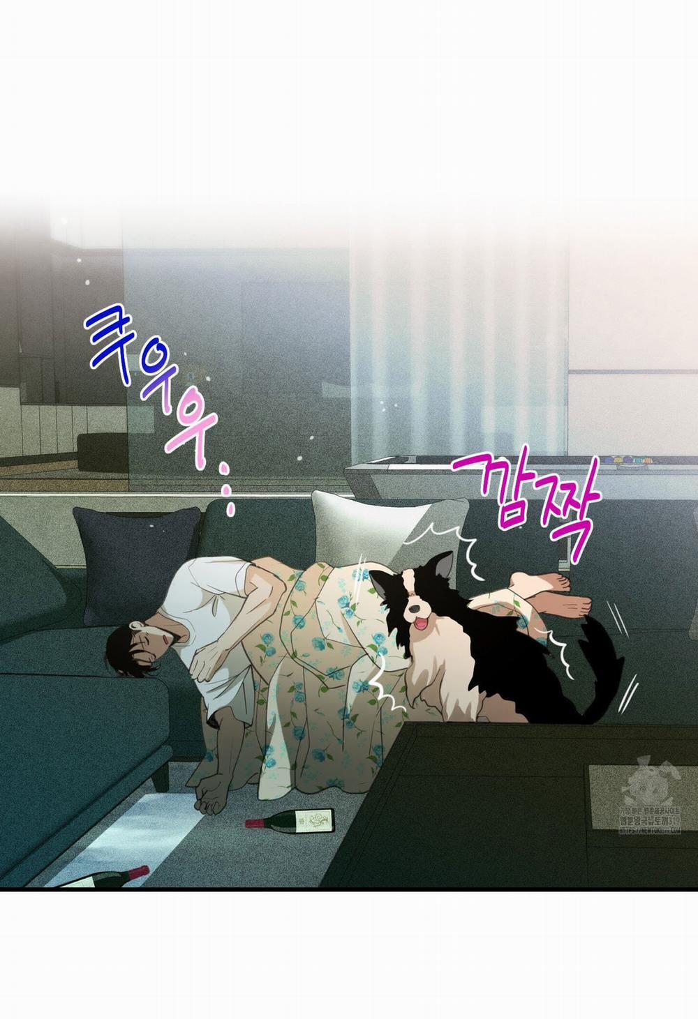 Chuyện Tình Lông Chó 14 trang 31