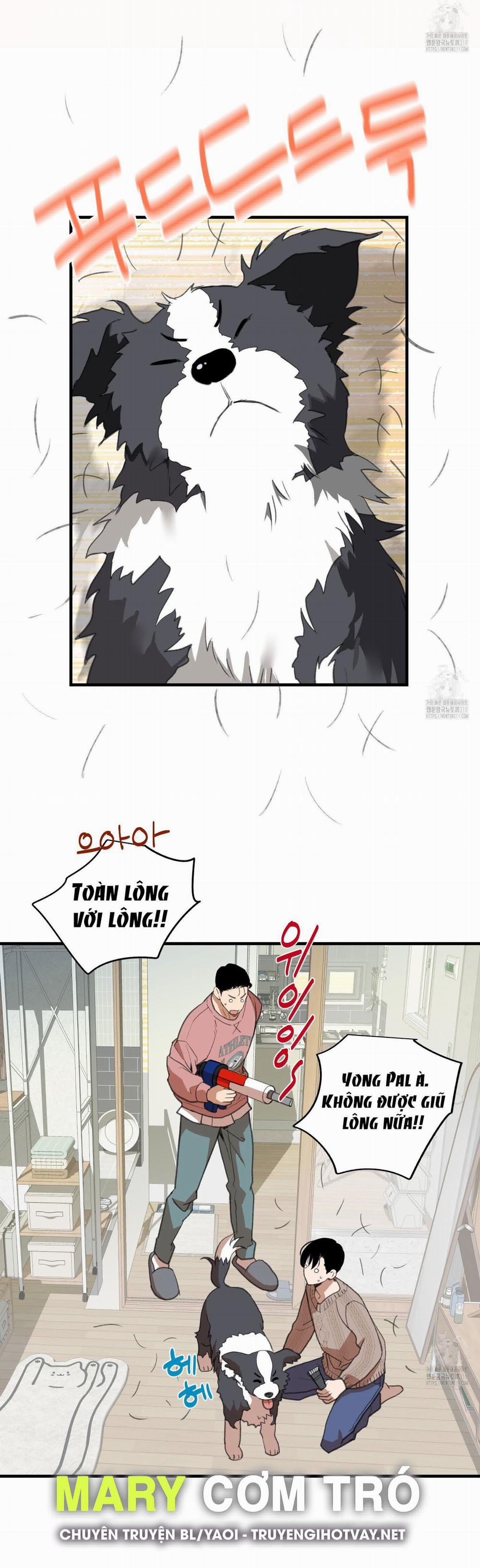 Chuyện Tình Lông Chó 18 trang 38