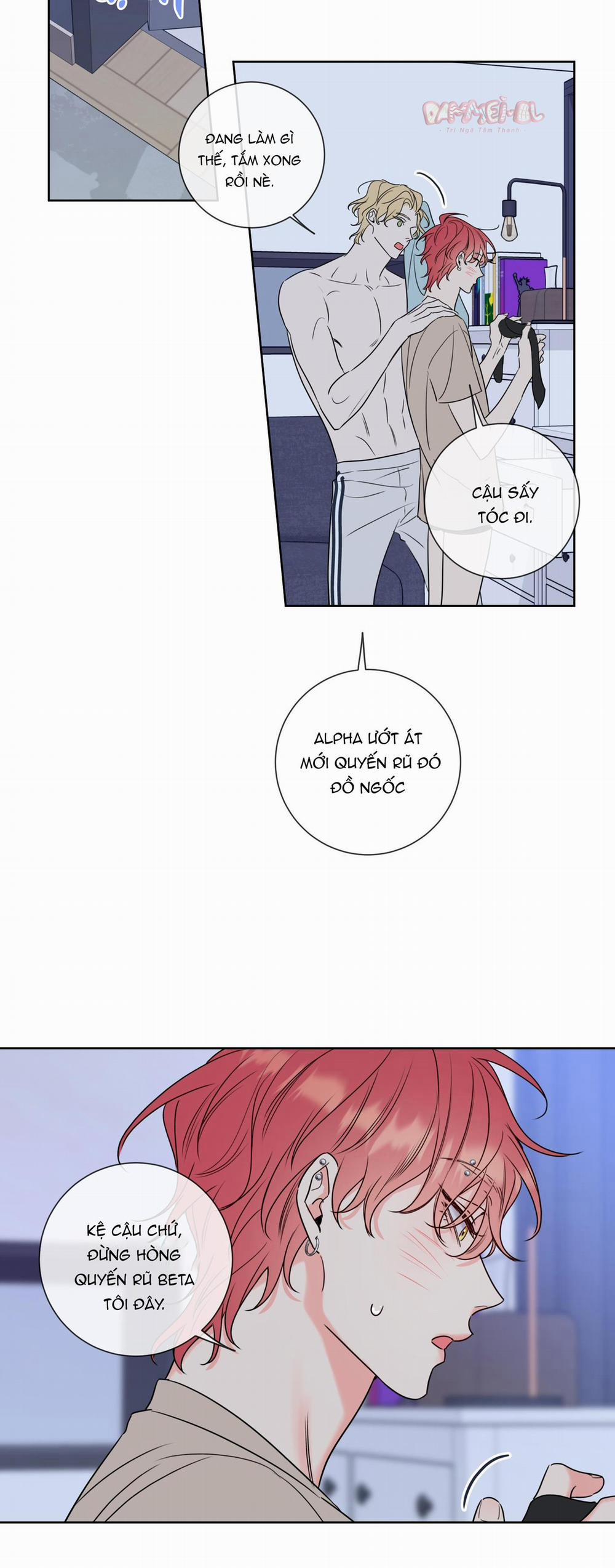 CHUYỆN TÌNH RẮC RỐI -DMBL 8 trang 15