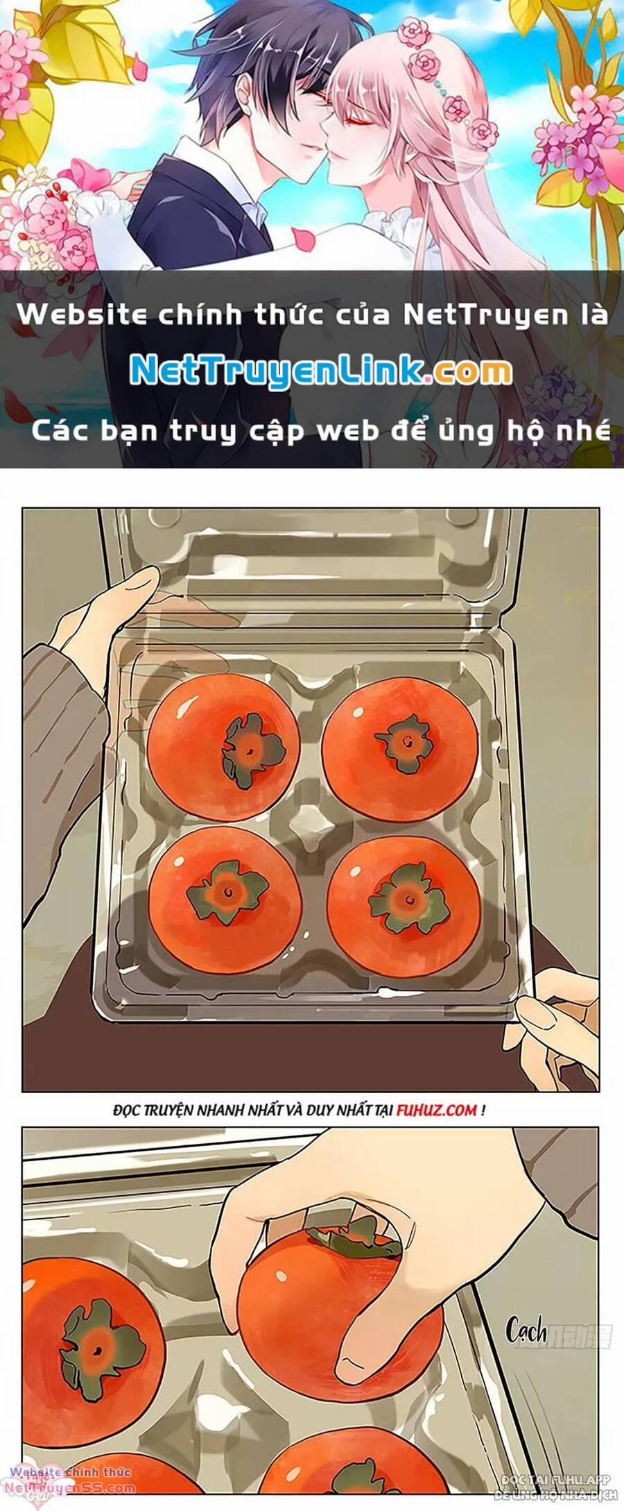 Chuyện Tình Tuổi Học Trò 194 trang 0