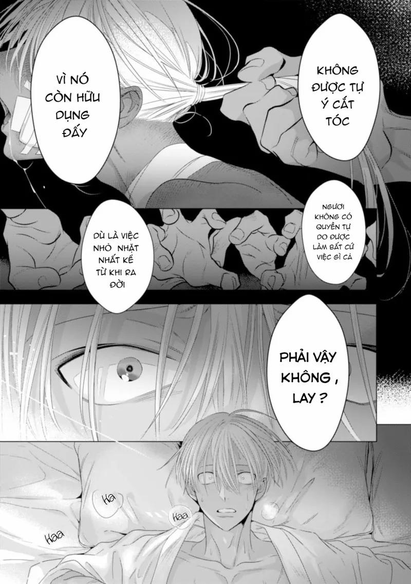 Chuyện Tình Với Vệ Sĩ 3 trang 0