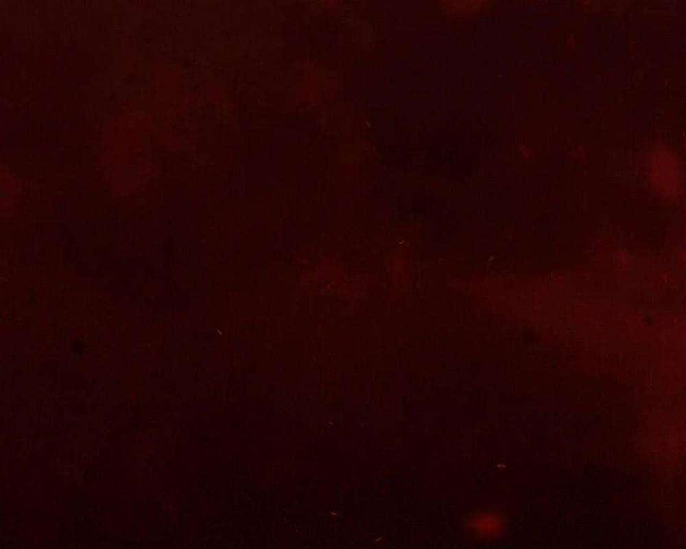 Chuyện Về Bánh Hotteok 7 trang 65