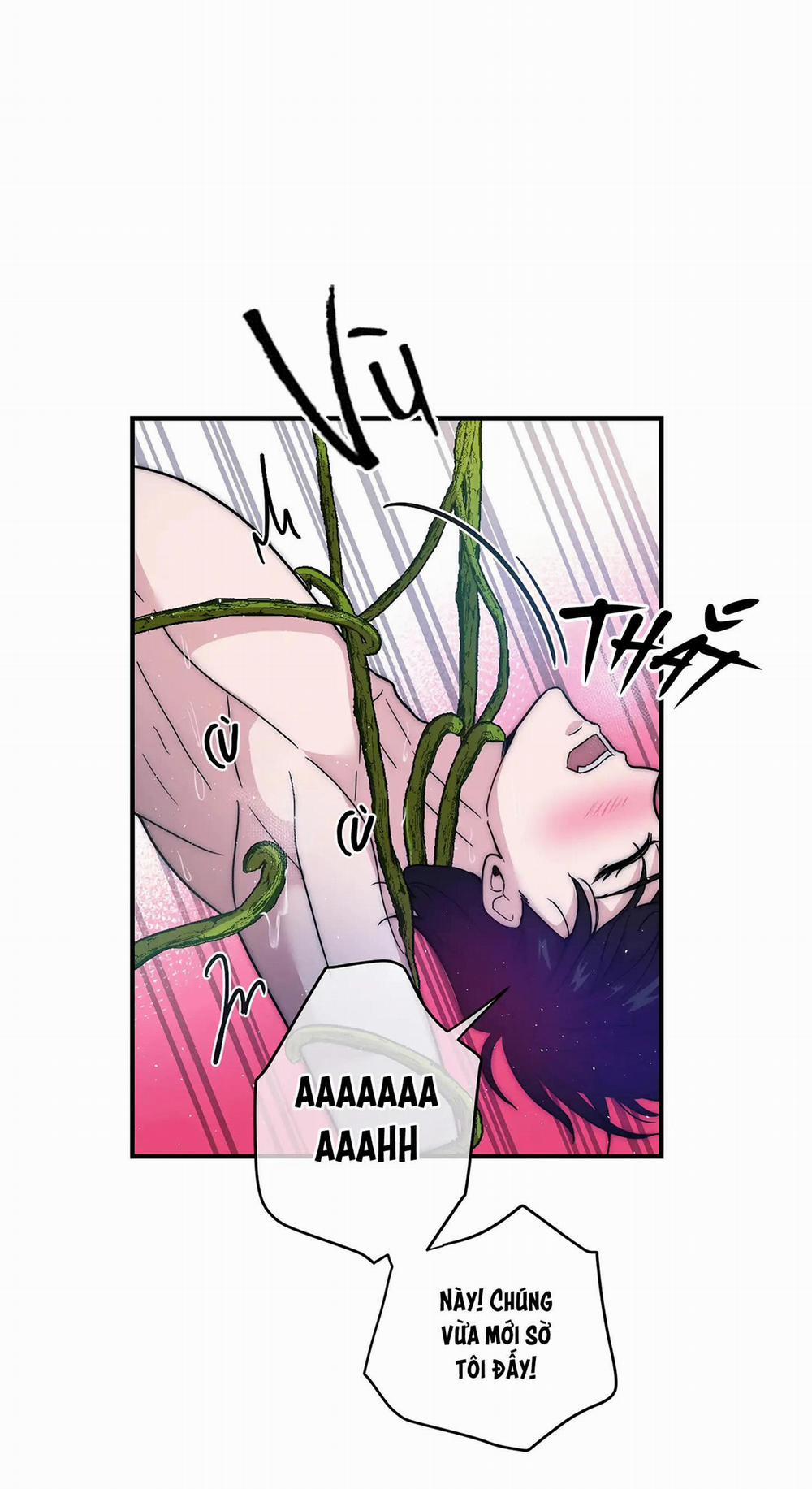 Cinderella 7 trang 5