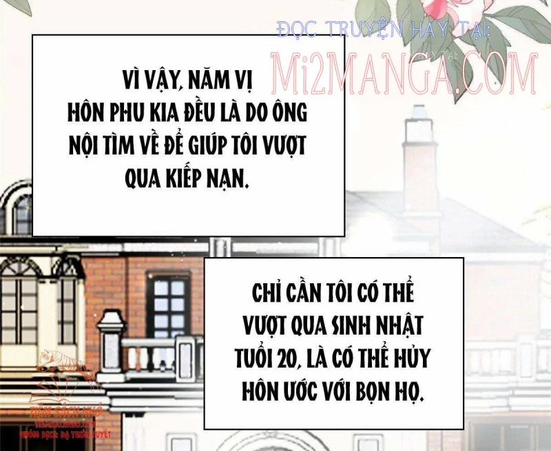 Cô Ấy Được Các Lão Đại Sủng 2 trang 21