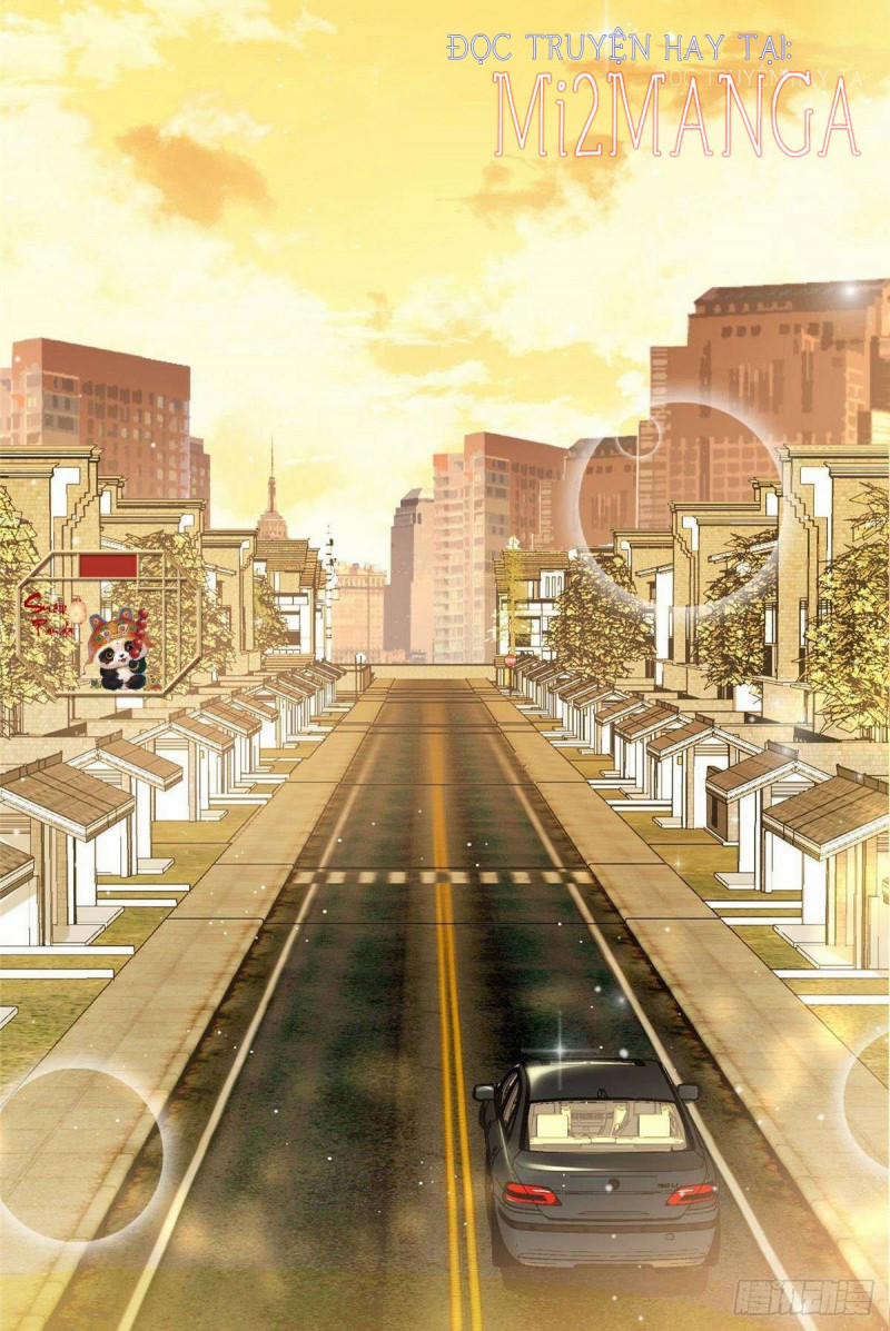 Cô Ấy Được Các Lão Đại Sủng 20 trang 14