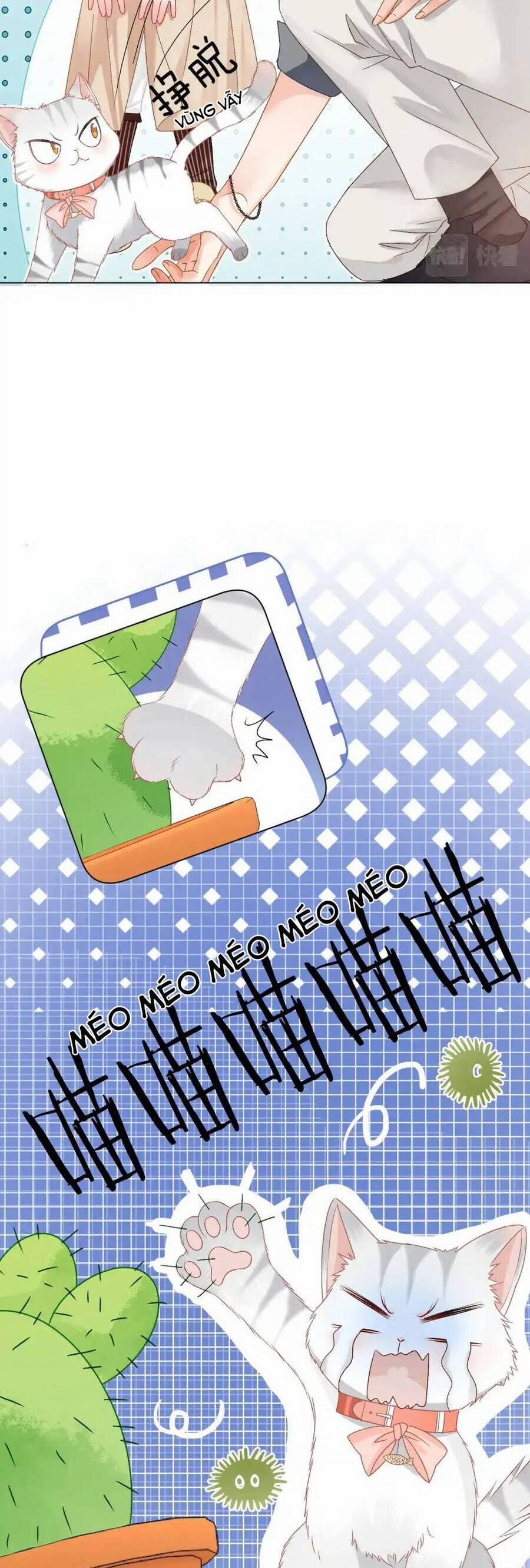 Cô Ấy Ngày Nào Cũng Lên Hot Search! 101 trang 14