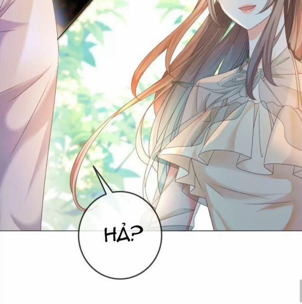 Cô Ấy Ngày Nào Cũng Lên Hot Search! 13 trang 12