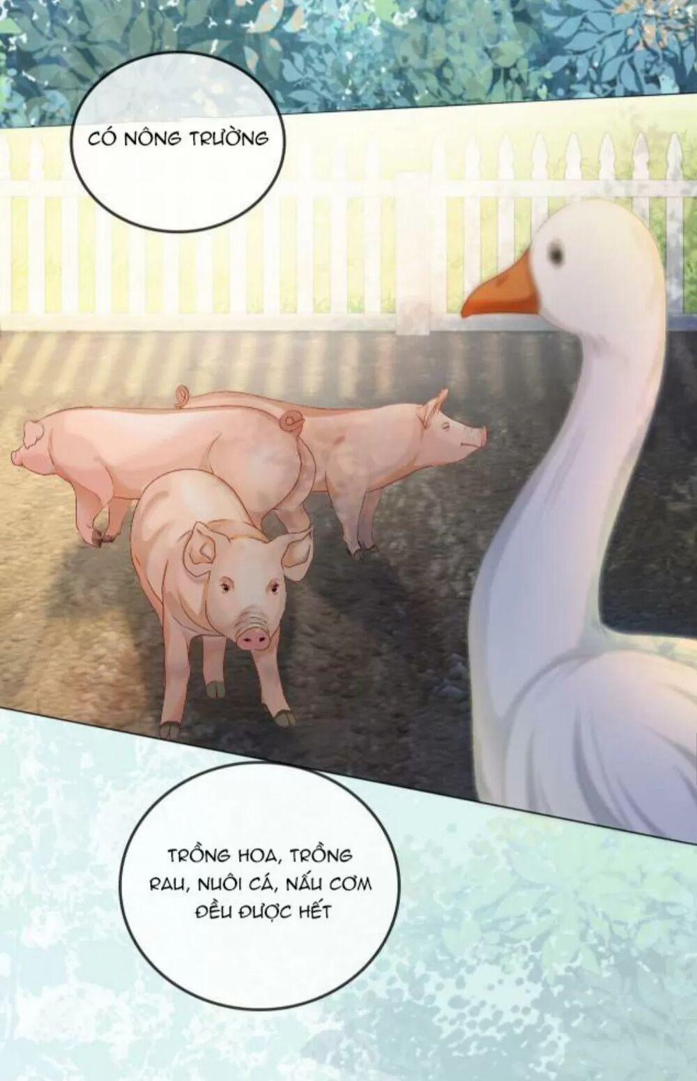 Cô Ấy Ngày Nào Cũng Lên Hot Search! 13 trang 16