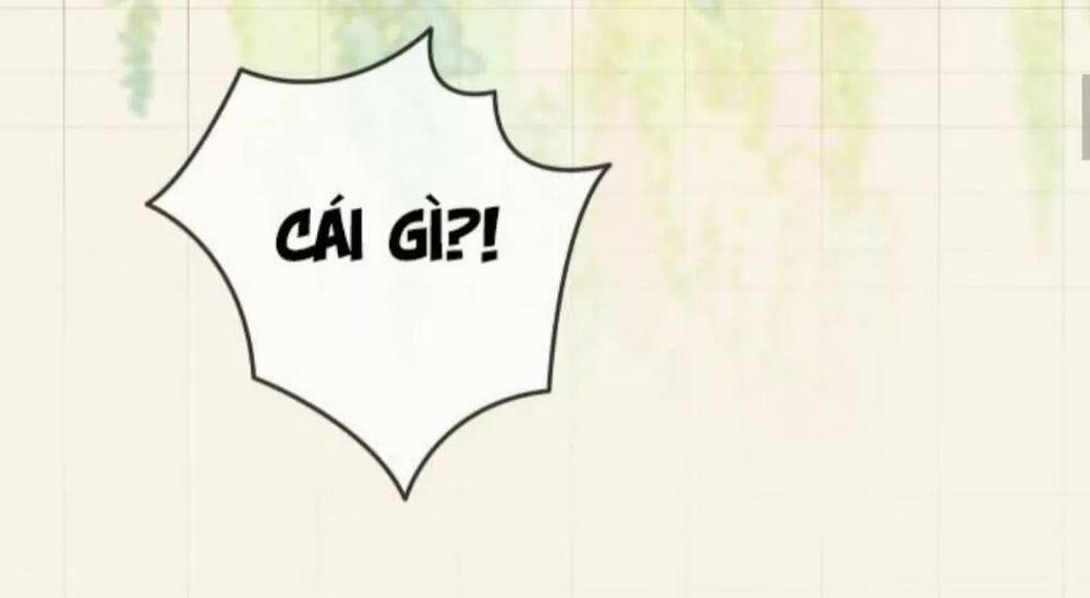 Cô Ấy Ngày Nào Cũng Lên Hot Search! 14 trang 15