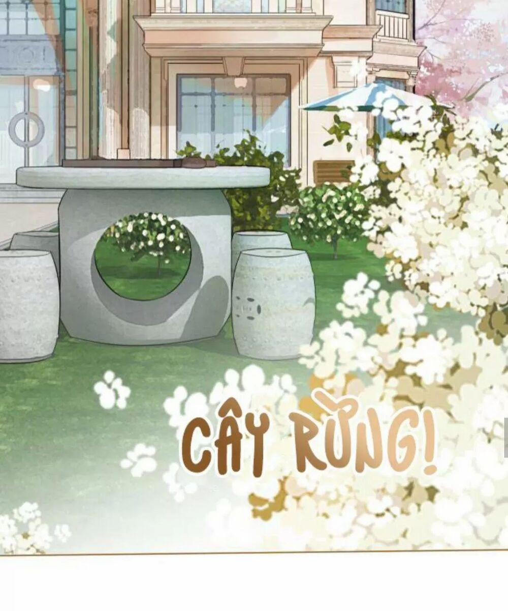 Cô Ấy Ngày Nào Cũng Lên Hot Search! 14 trang 22