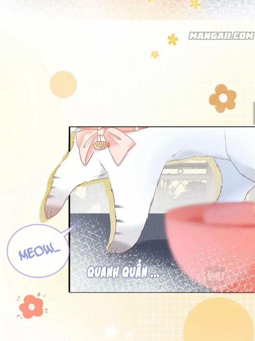 Cô Ấy Ngày Nào Cũng Lên Hot Search! 16 trang 21