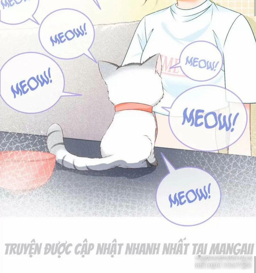 Cô Ấy Ngày Nào Cũng Lên Hot Search! 16 trang 23