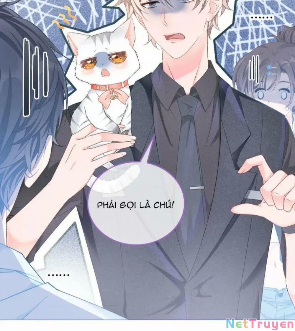 Cô Ấy Ngày Nào Cũng Lên Hot Search! 18 trang 2