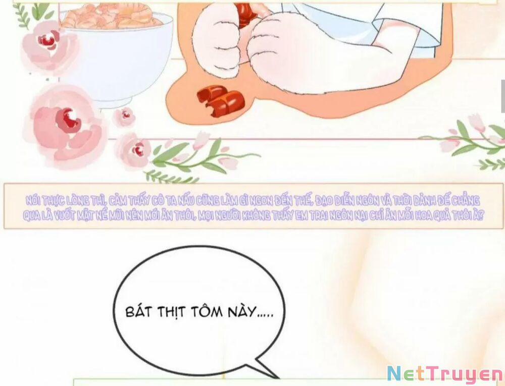 Cô Ấy Ngày Nào Cũng Lên Hot Search! 19 trang 15