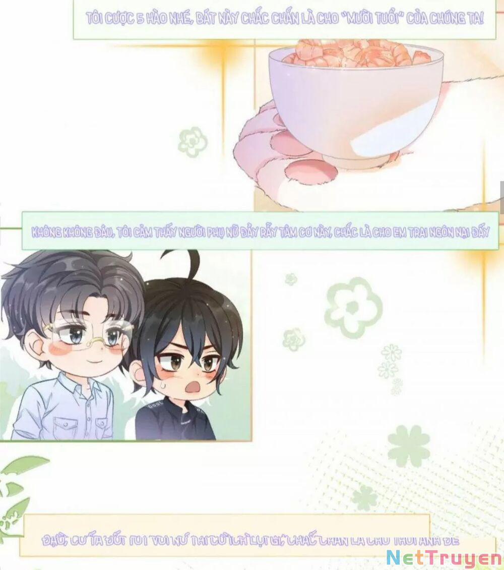 Cô Ấy Ngày Nào Cũng Lên Hot Search! 19 trang 16