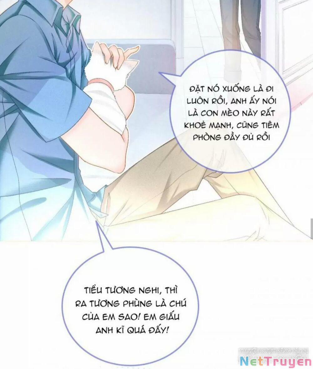 Cô Ấy Ngày Nào Cũng Lên Hot Search! 19 trang 24