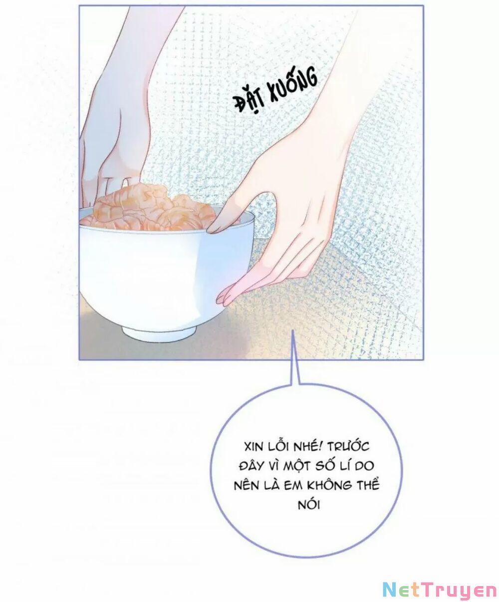 Cô Ấy Ngày Nào Cũng Lên Hot Search! 19 trang 25