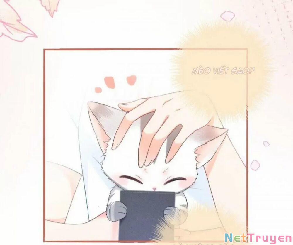 Cô Ấy Ngày Nào Cũng Lên Hot Search! 19 trang 31