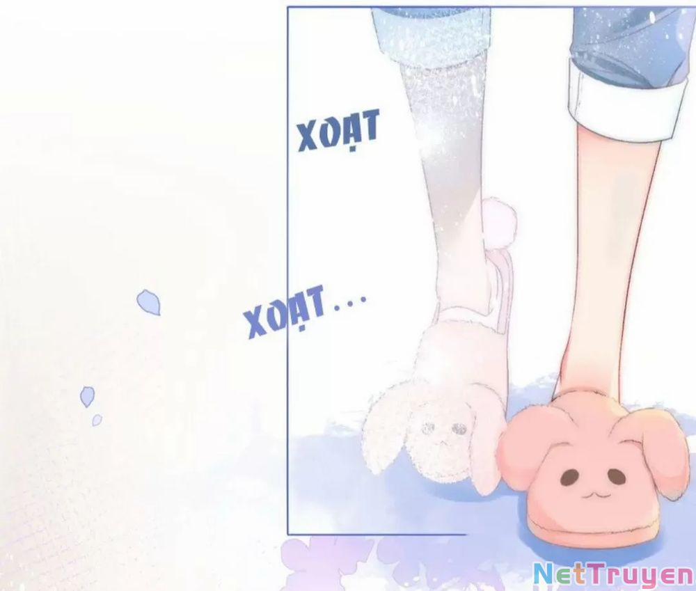 Cô Ấy Ngày Nào Cũng Lên Hot Search! 20 trang 17