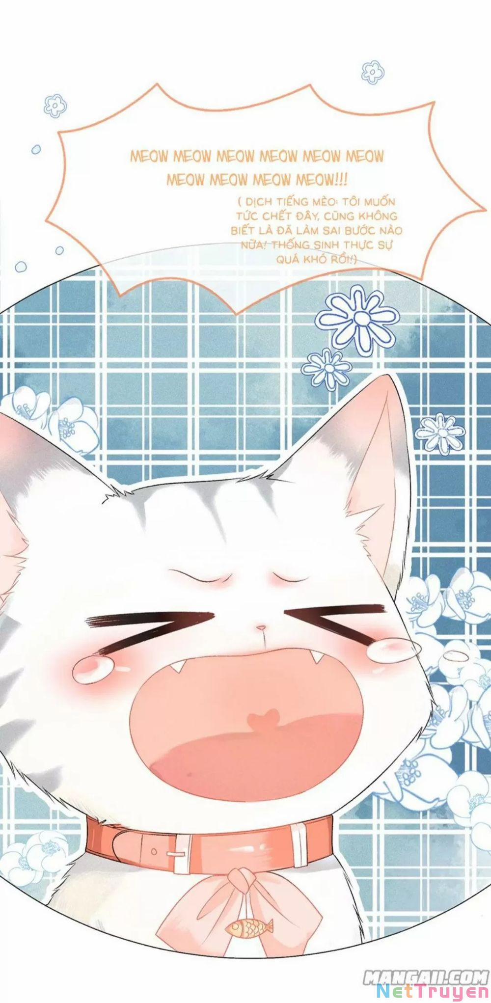 Cô Ấy Ngày Nào Cũng Lên Hot Search! 20 trang 5