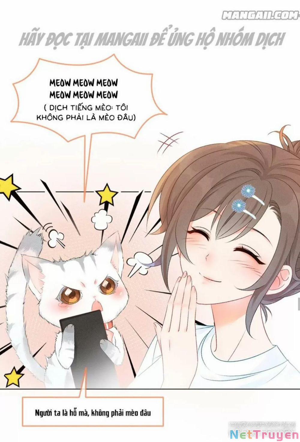 Cô Ấy Ngày Nào Cũng Lên Hot Search! 20 trang 7