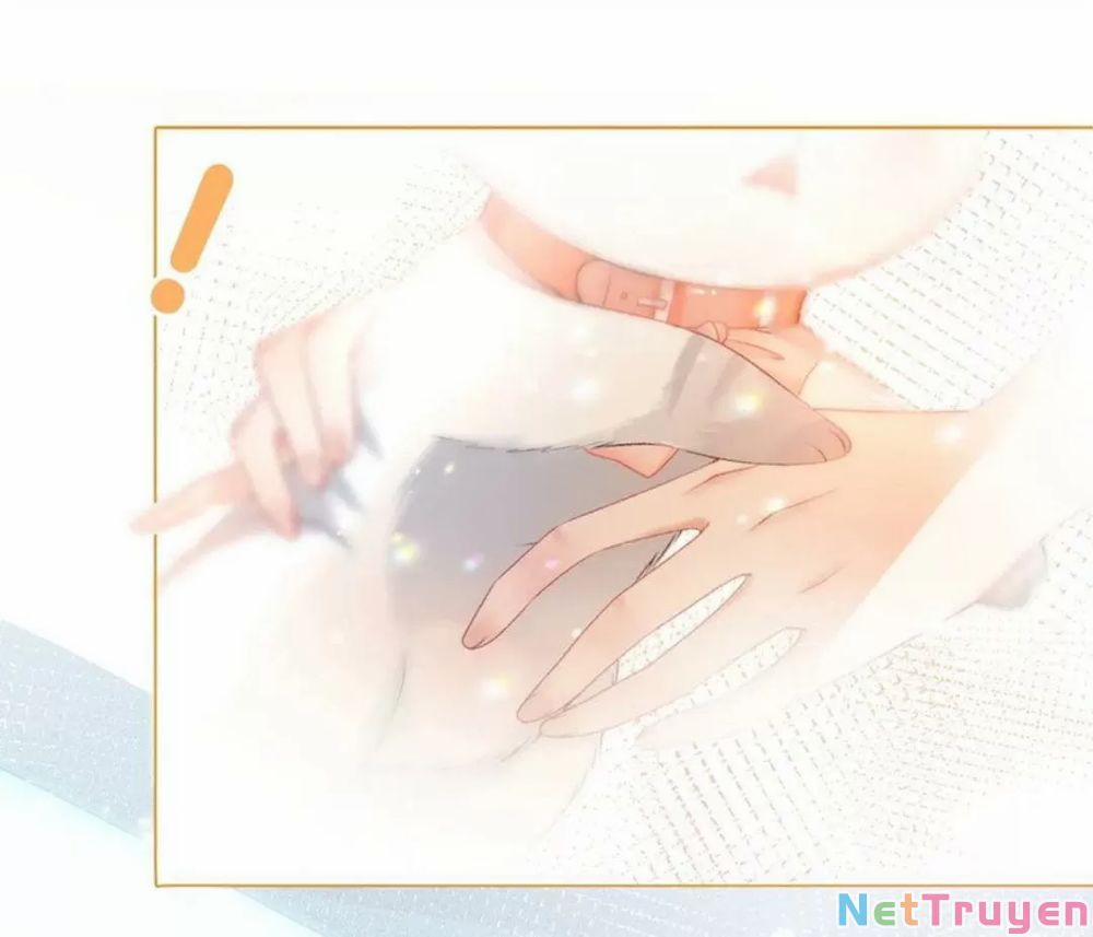 Cô Ấy Ngày Nào Cũng Lên Hot Search! 20 trang 8