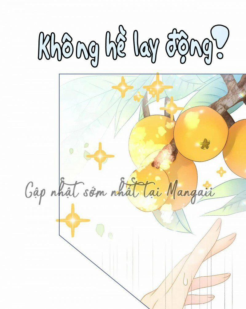 Cô Ấy Ngày Nào Cũng Lên Hot Search! 24 trang 17