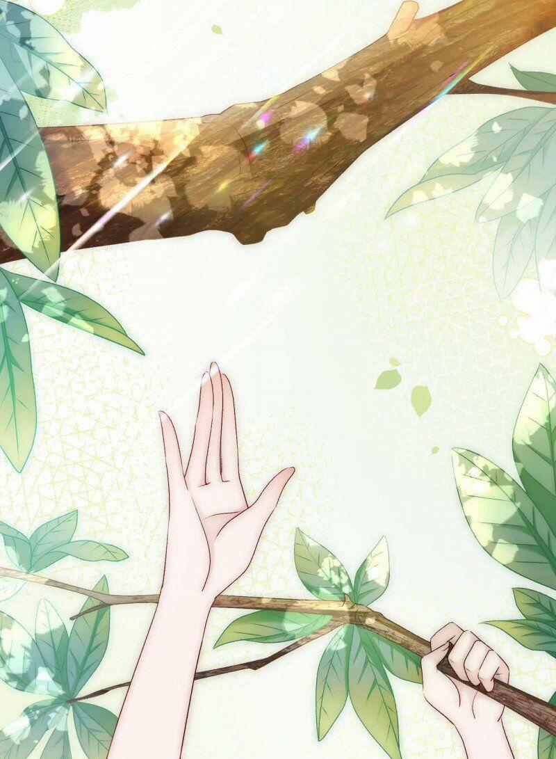 Cô Ấy Ngày Nào Cũng Lên Hot Search! 25 trang 1