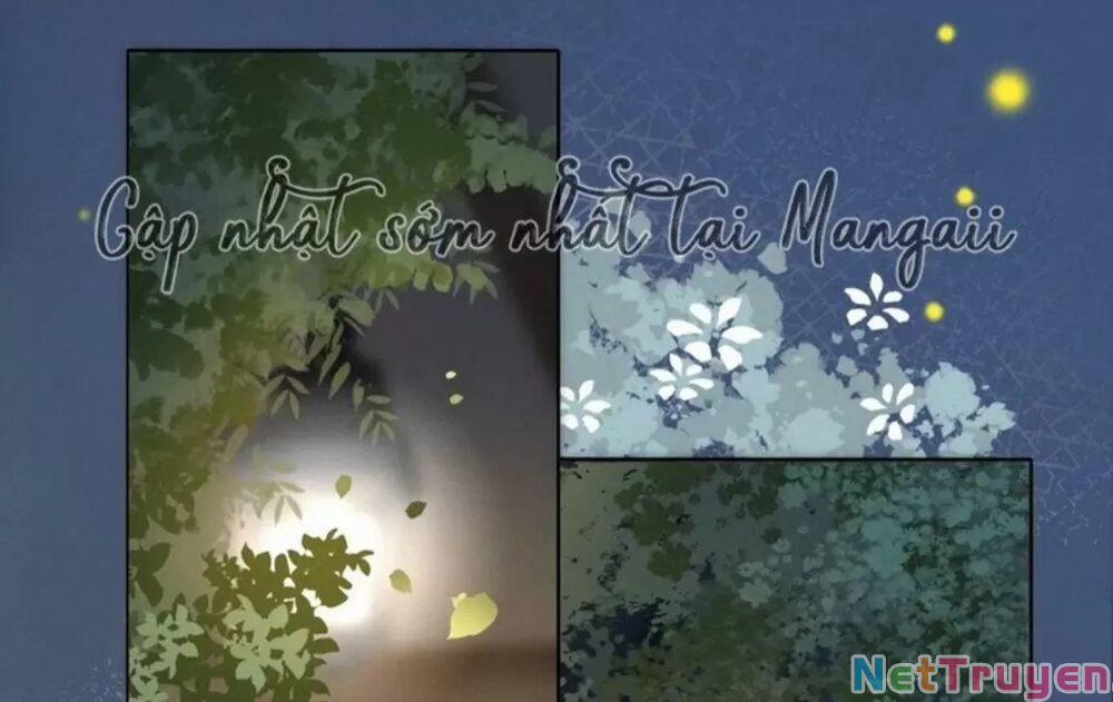 Cô Ấy Ngày Nào Cũng Lên Hot Search! 26 trang 10