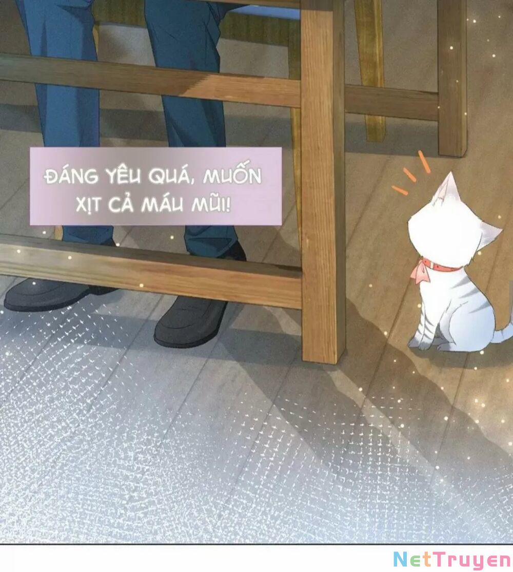 Cô Ấy Ngày Nào Cũng Lên Hot Search! 26 trang 14